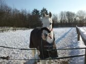 Billede