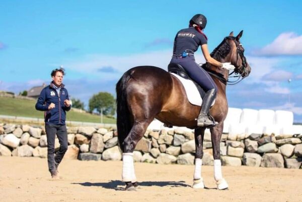 Billede