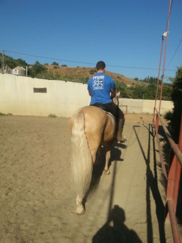 Billede