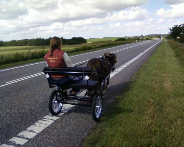 Billede