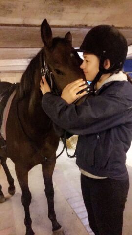 Billede
