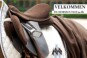 Billede