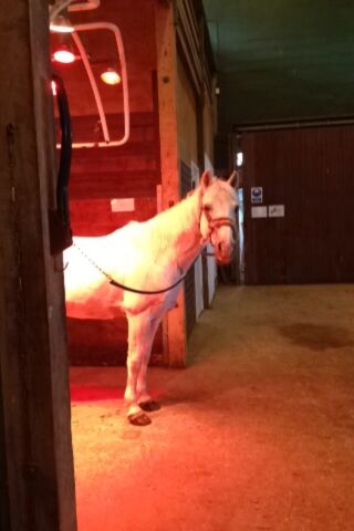 Billede
