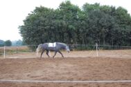 Billede