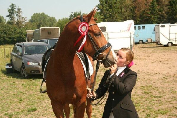 Billede