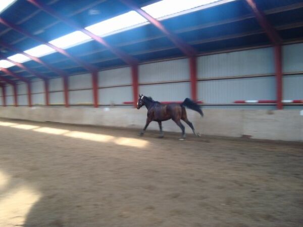 Billede
