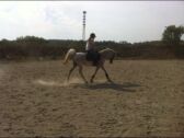 Billede