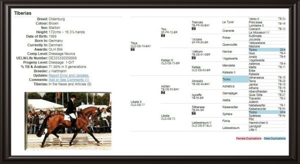 Billede