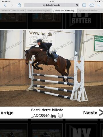 Billede