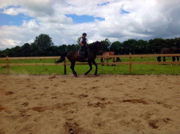Billede