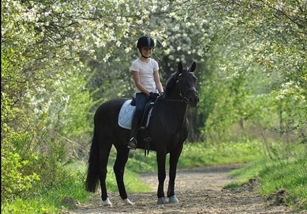 Billede
