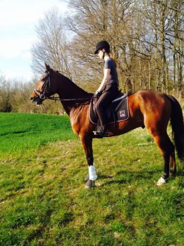Billede