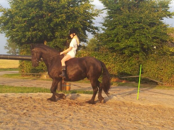 Billede