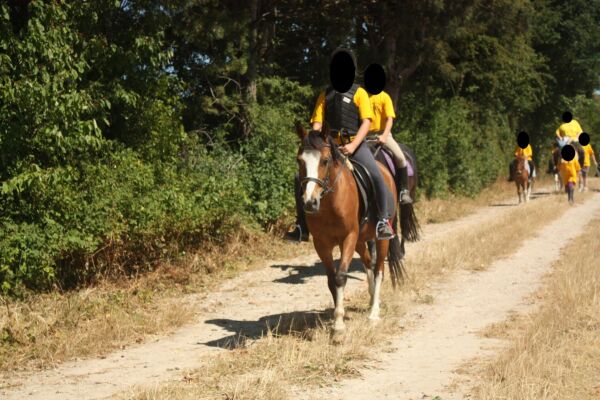 Billede