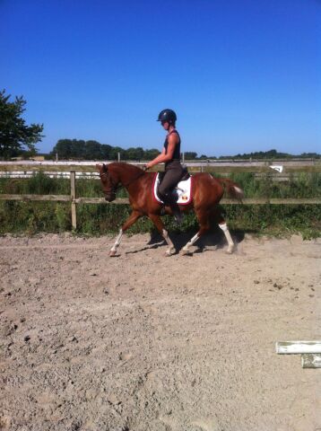 Billede