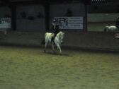 Billede