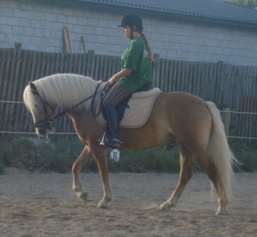 Billede