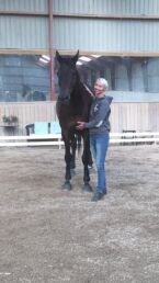 Billede