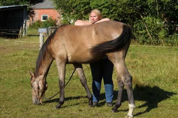 Billede