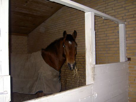Billede