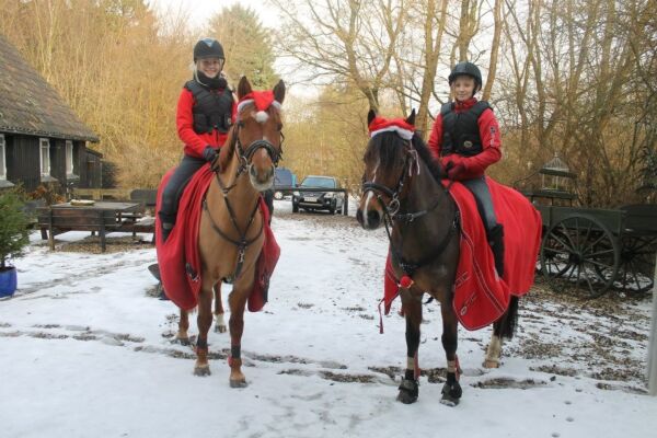 Billede