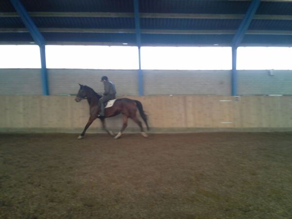 Billede