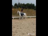 Billede
