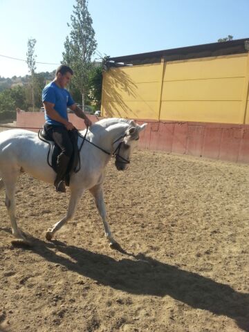Billede