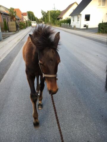 Billede