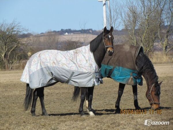 Billede