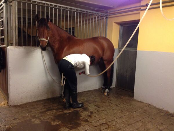 Billede