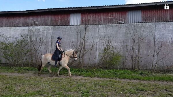 Billede