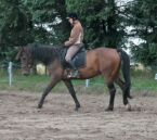 Billede