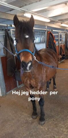Billede
