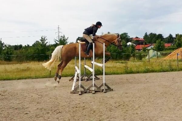 Billede