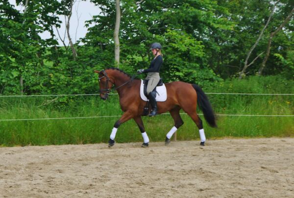 Billede