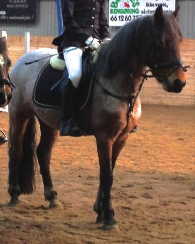 Billede