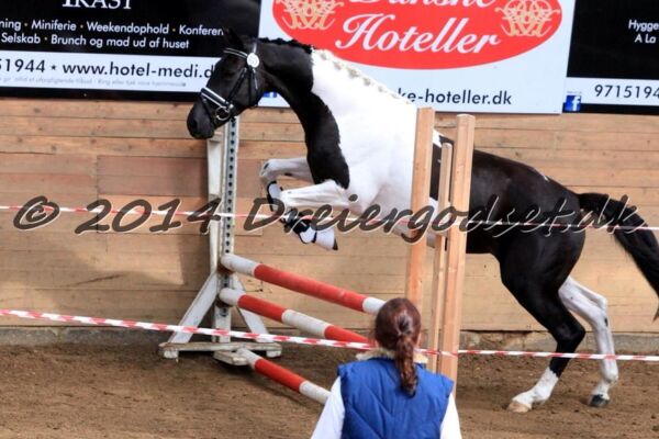Billede