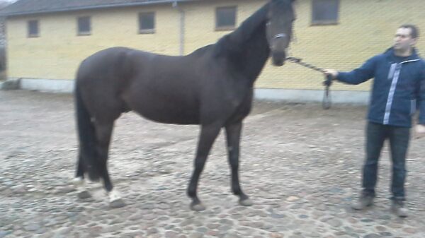 Billede