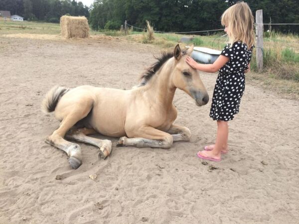 Billede