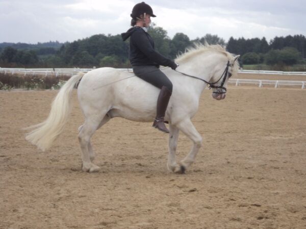 Billede