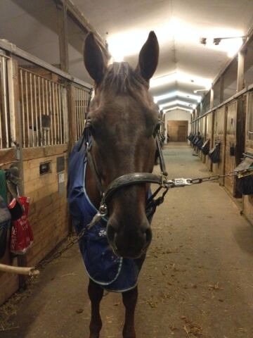 Billede
