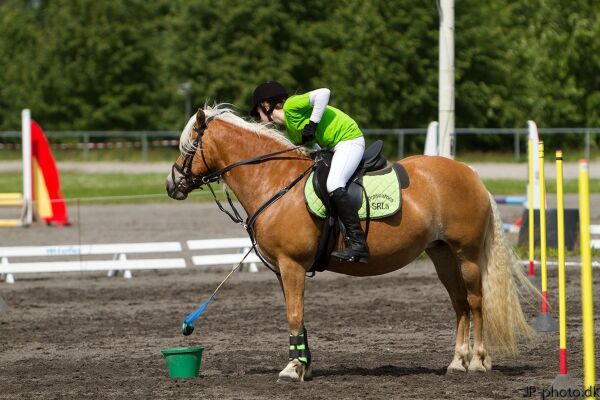 Billede