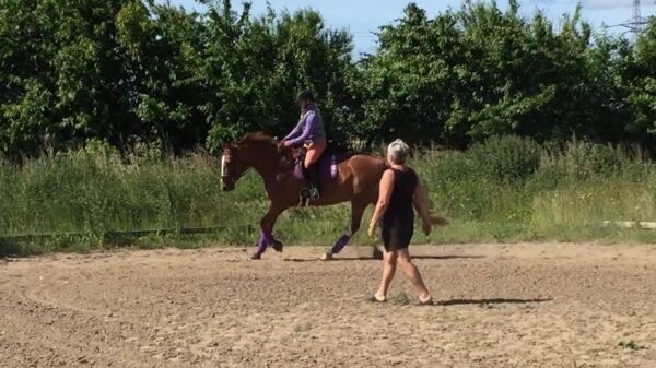 Billede