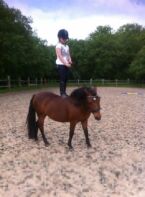 Billede