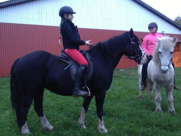 Billede
