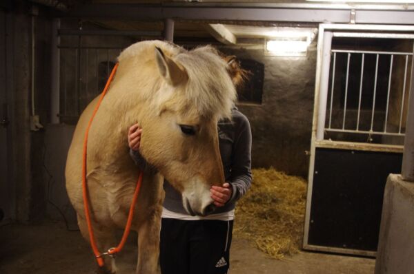 Billede