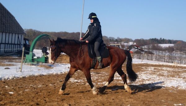 Billede