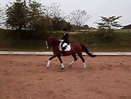 Billede