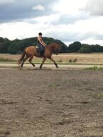 Billede